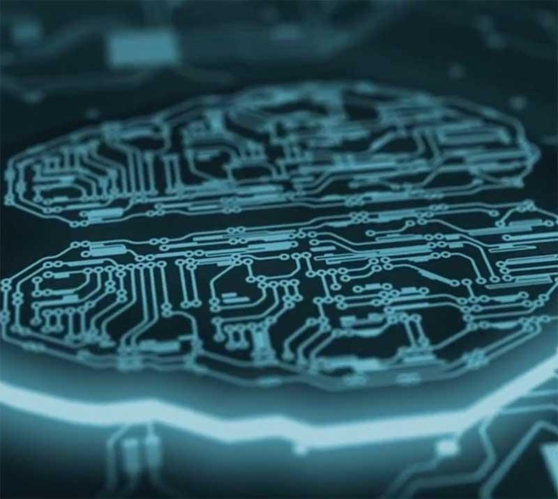 Brain transformation and mindset change