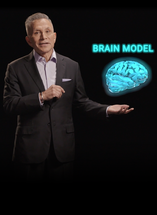 Brain Model