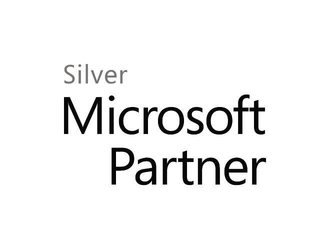 Partner Microsoft Logo